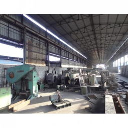 特冶軋鋼產品 創新技術引領行業發展